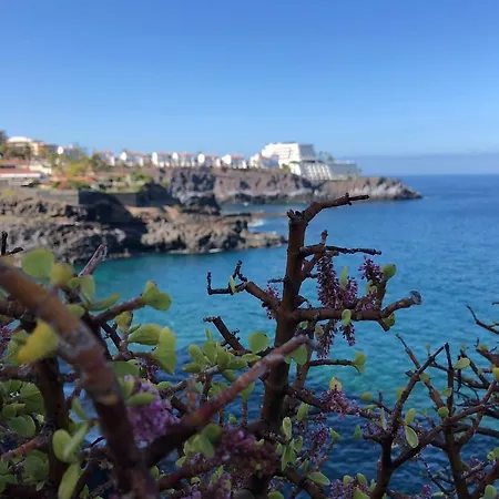 Aqua In Los Gigantes